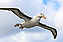 Logo - 