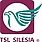 Logo - TSL Silesia Sp. z o.o., Rycerska 9, Bytom 41-902 - Przedsiębiorstwo, Firma, godziny otwarcia, numer telefonu