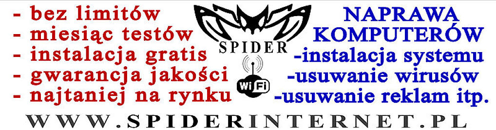 Zdjęcie w galerii "Spider" Internet nr 1