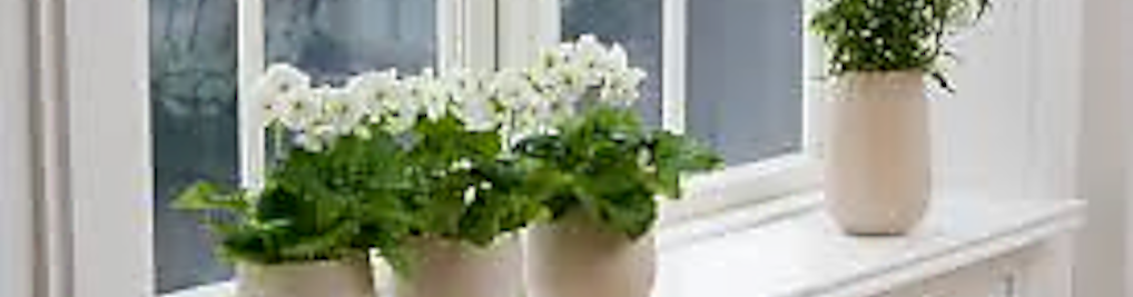 Zdjęcie w galerii Seko nr 9