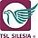 Logo - TSL Silesia Group, Rycerska 9, Bytom 41-902 - Przedsiębiorstwo, Firma, godziny otwarcia, numer telefonu