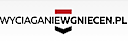 Logo - Wyciąganie Wgnieceń Maciej Wajszczuk, Parowcowa 6, Warszawa 02-445 - Warsztat blacharsko-lakierniczy, numer telefonu