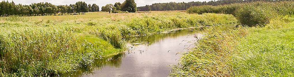 Zdjęcie w galerii RICO - pokoje nad Biebrzą nr 5