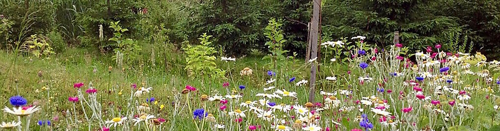 Zdjęcie w galerii Rodzinny Ogród Mazurówka -Muzzy Studio Professional Maciej Mazur nr 8