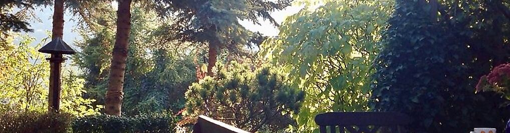 Zdjęcie w galerii Rodzinny Ogród Mazurówka -Muzzy Studio Professional Maciej Mazur nr 2