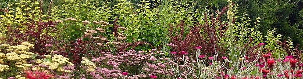 Zdjęcie w galerii Rodzinny Ogród Mazurówka -Muzzy Studio Professional Maciej Mazur nr 4