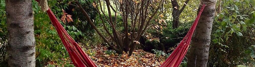 Zdjęcie w galerii Rodzinny Ogród Mazurówka -Muzzy Studio Professional Maciej Mazur nr 10