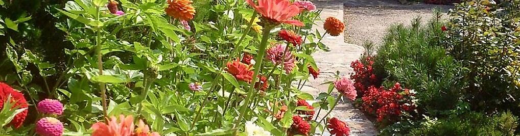 Zdjęcie w galerii Rodzinny Ogród Mazurówka -Muzzy Studio Professional Maciej Mazur nr 7