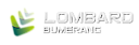 Logo - Lombard BUMERANG, Chłodna 35/37, Warszawa 00-867 - Lombard, godziny otwarcia, numer telefonu