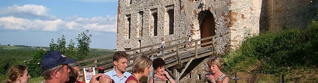 Zdjęcie w galerii Stowarzyszenie Zamek Rabsztyn w Olkuszu nr 2