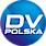 Logo - DV Polska Dystrybucja DeVilbiss, ul. św. Franciszka z Asyżu 24 93-485 - Przedsiębiorstwo, Firma, numer telefonu