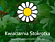 Logo - Kwiaciarnia Stokrotka, Marii Skłodowskiej-Curie 11, Szczytno 12-100 - Kwiaciarnia, godziny otwarcia, numer telefonu