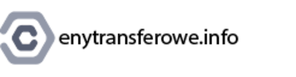 Zdjęcie w galerii cenytransferowe.info nr 1