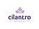 Logo - Cilantro , Ul. Pomorska 32/26-29, Wrocław 50-218 - Bed & Breakfast, numer telefonu