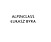 Logo - Alpinclass Łukasz Byra, Tysiąclecia 18, Nisko 37-400 - Budownictwo, Wyroby budowlane, numer telefonu