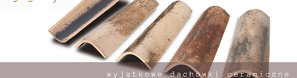 Zdjęcie w galerii Dachyrustykalne sp.z o.o. nr 7