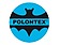 Logo - Polontex S.A. - producent firanek, zasłon i tkanin, Częstochowa 42-200 - Przedsiębiorstwo, Firma, numer telefonu