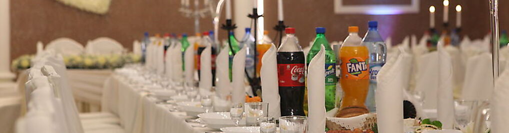 Zdjęcie w galerii Sala Bankietowa w Turośli nr 1