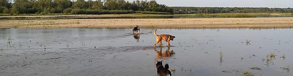 Zdjęcie w galerii Merdu-Merdu nr 5