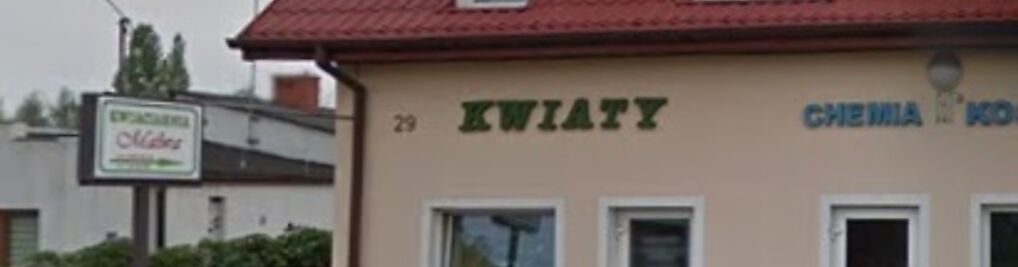 Zdjęcie w galerii Malwa nr 1