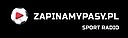 Logo - Remes Sp. z o.o., 5 Stycznia 35, Opalenica 64-330 - Przedsiębiorstwo, Firma, godziny otwarcia, numer telefonu