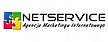 Logo - NetService Agencja Marketingu Internetowego, Sandomierska 37 85-830 - Przedsiębiorstwo, Firma, godziny otwarcia, numer telefonu