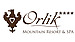Logo - 'ORLIK' MOUNTAIN RESORT AND SPA, Tatrzańska 24A 34-530 - Pensjonat, numer telefonu