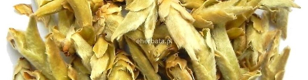 Zdjęcie w galerii Eherbata - sklep z herbatą nr 1
