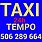 Logo - Taxi Tempo, Jana Pawła II 63, Sieradz 98-200 - Taxi - Postój, numer telefonu