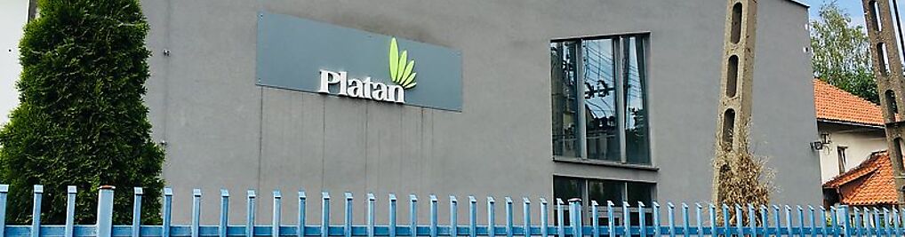 Zdjęcie w galerii Platan nr 1