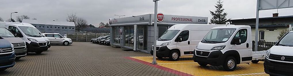 Zdjęcie w galerii FIAT PROFESSIONAL DELIK nr 1
