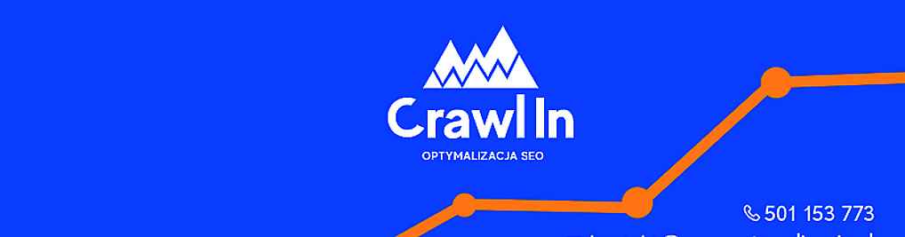 Zdjęcie w galerii Projektowanie i Pozycjonowanie Stron Wieluń | Crawl In nr 1