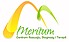 Logo - Niepubliczna Poradnia Psychologiczno-Pedagogiczna 'Meritum' 41-218 - Poradnia Psychologiczno-Pedagogiczna, godziny otwarcia, numer telefonu