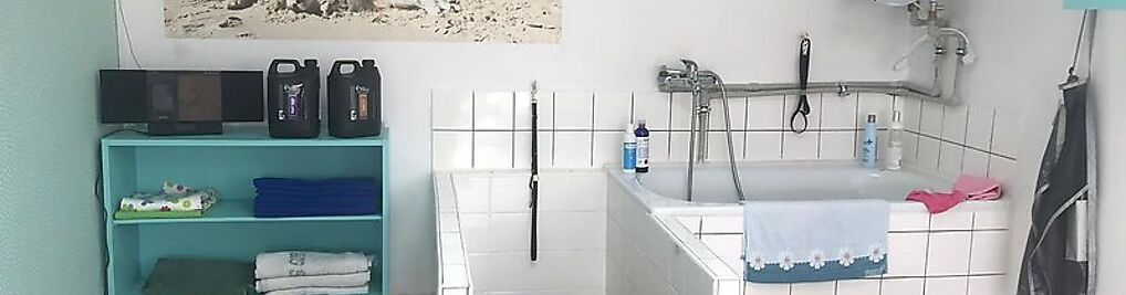 Zdjęcie w galerii Salon pielęgnacji psów AMOR / Psi fryzjer/ strzyżenie psów nr 3