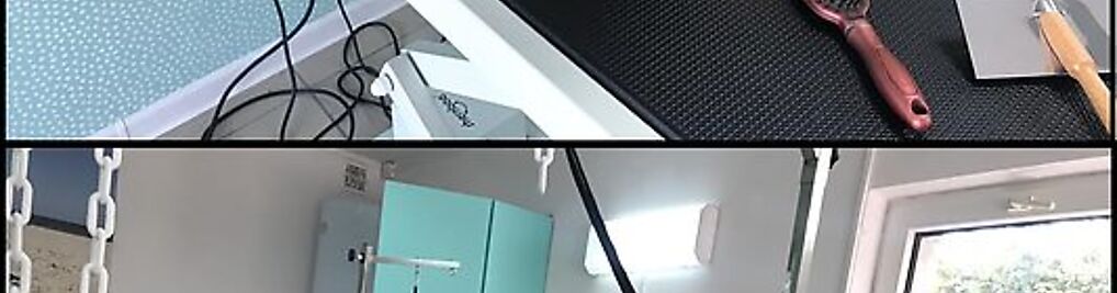 Zdjęcie w galerii Salon pielęgnacji psów AMOR / Psi fryzjer/ strzyżenie psów nr 6