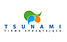 Logo - Firma sprzątająca Tsunami, Kolejowa 43 lok. 22, Poznań 60-719 - Przedsiębiorstwo, Firma, numer telefonu