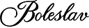 Logo - Noclegi Boleslav, Piłsudskiego, 29, Sucha Beskidzka 34-200 - Pokój gościnny, godziny otwarcia, numer telefonu