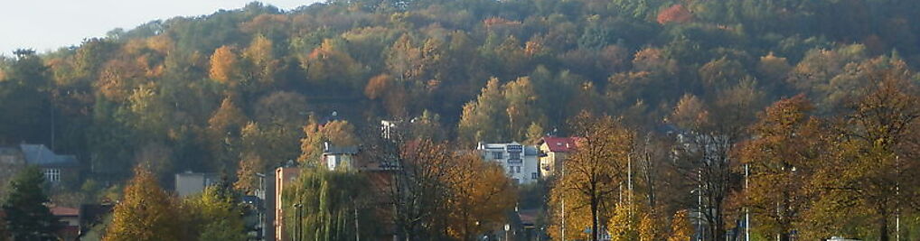 Zdjęcie w galerii "Ogrody Muzyki" Jagna Leśniowska nr 4