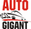 Logo - F.H.U. Auto Gigant Tomasz Stolarski, Stachiewicza 9, Kraków 31-325 - Autoczęści - Sklep, godziny otwarcia, numer telefonu