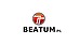 Logo - Beatum.pl - konsole okienne i automatyka do bram, M. Wańkowicza 54 15-166 - Automatyka, Inteligenty budynek, numer telefonu