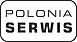 Logo - Polonia Serwis, Aleja Tysiąclecia Państwa Polskiego 13, Puławy 24-110 - Autoserwis, numer telefonu