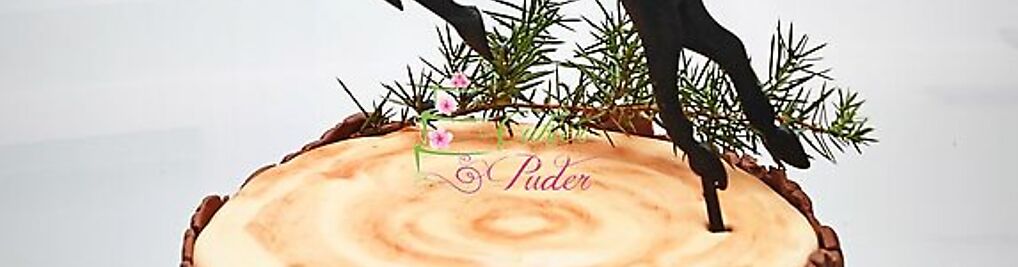 Zdjęcie w galerii Cukier Puder - Torty by Karolina Kałdonek nr 4