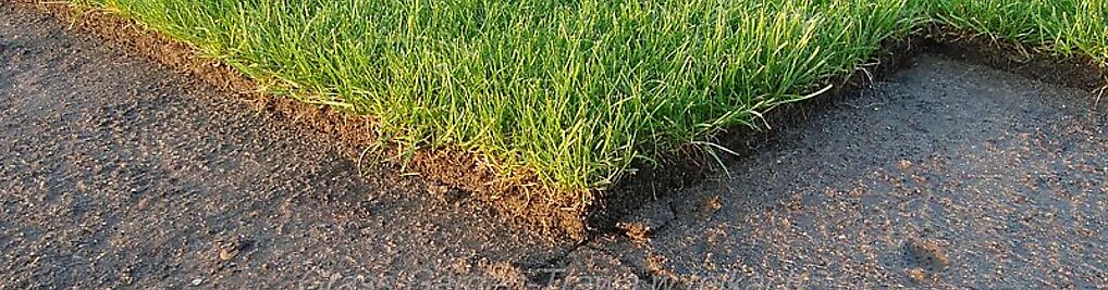Zdjęcie w galerii Grass Garden-Trawa zrolki nr 1
