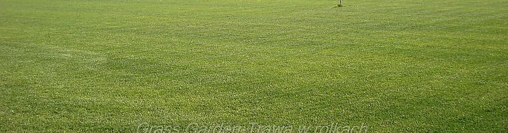 Zdjęcie w galerii Grass Garden-Trawa zrolki nr 2