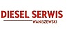 Logo - Diesel Serwis Mleczna Waniszewski, Mleczna 7a, Mleczna 55-065 - Warsztat naprawy samochodów, godziny otwarcia, numer telefonu