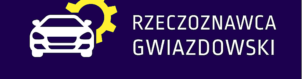 Zdjęcie w galerii Mini Warsztat i Rzeczoznawca Samochodowy nr 2