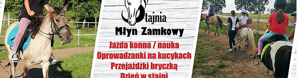 Zdjęcie w galerii Stajnia Młyn Zamkowy nr 1