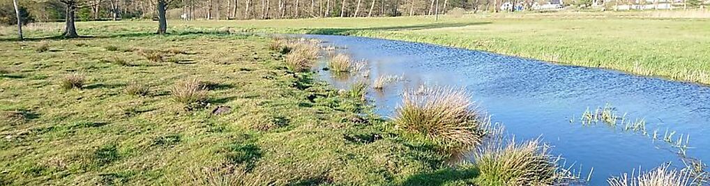 Zdjęcie w galerii ujaneckich.pl nr 4