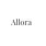 Logo - Akcesoria odzieżowe - Allora, Bolimowska 14/18b, Łowicz 99-400 - Odzieżowy - Sklep, numer telefonu