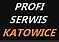 Logo - Profi Serwis, Owocowa 16, Katowice 40-158 - Autoserwis, numer telefonu